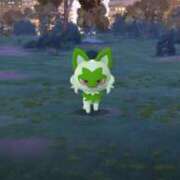 ヒメ日記 2025/01/06 00:28 投稿 ほたる 川越おかあさん