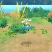 ヒメ日記 2025/01/14 15:48 投稿 ほたる 川越おかあさん