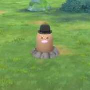 ヒメ日記 2025/01/14 16:28 投稿 ほたる 川越おかあさん