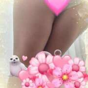 ヒメ日記 2025/02/18 21:48 投稿 ほたる 川越おかあさん