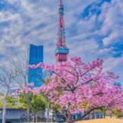 ヒメ日記 2025/03/11 16:38 投稿 ほたる 川越おかあさん