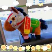 ヒメ日記 2025/03/21 13:58 投稿 ほたる 川越おかあさん