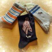 ヒメ日記 2025/03/28 08:17 投稿 ほたる 川越おかあさん