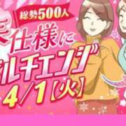 ヒメ日記 2025/03/31 23:18 投稿 ほたる 川越おかあさん
