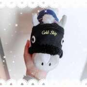 ヒメ日記 2025/04/26 15:28 投稿 ほたる 川越おかあさん