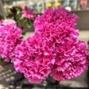 ヒメ日記 2025/05/06 21:18 投稿 ほたる 川越おかあさん