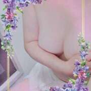 ヒメ日記 2025/06/06 11:19 投稿 ほたる 川越おかあさん