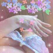 ヒメ日記 2025/06/17 11:58 投稿 ほたる 川越おかあさん