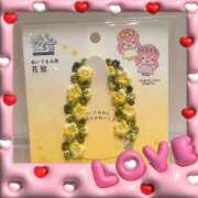 ヒメ日記 2025/06/19 19:38 投稿 ほたる 川越おかあさん