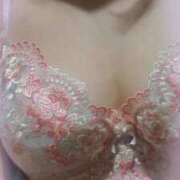 ヒメ日記 2025/07/13 11:08 投稿 ほたる 川越おかあさん