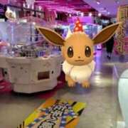 ヒメ日記 2025/08/04 01:48 投稿 ほたる 川越おかあさん