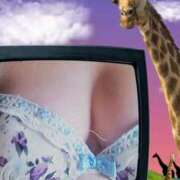 ヒメ日記 2025/08/08 12:28 投稿 ほたる 川越おかあさん