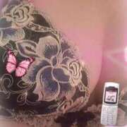 ヒメ日記 2025/08/18 15:18 投稿 ほたる 川越おかあさん