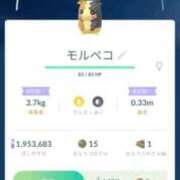 ヒメ日記 2025/09/03 01:38 投稿 ほたる 川越おかあさん