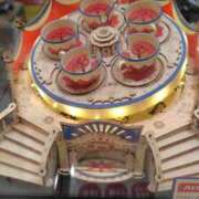 ヒメ日記 2025/10/03 16:22 投稿 ほたる 川越おかあさん