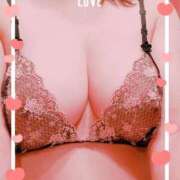 ヒメ日記 2025/10/29 10:59 投稿 ほたる 川越おかあさん