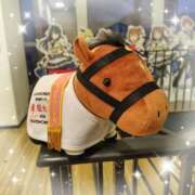 ヒメ日記 2025/11/29 19:08 投稿 ほたる 川越おかあさん