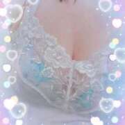 ヒメ日記 2026/03/23 14:58 投稿 ほたる 川越おかあさん