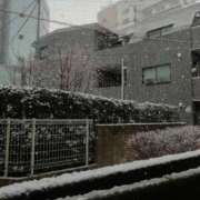 ヒメ日記 2025/03/19 09:58 投稿 みなと 川越おかあさん