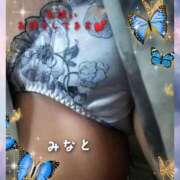 ヒメ日記 2025/03/30 18:36 投稿 みなと 川越おかあさん