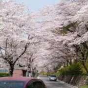 ヒメ日記 2025/04/05 17:38 投稿 みなと 川越おかあさん