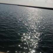 ヒメ日記 2025/07/31 10:18 投稿 みなと 川越おかあさん