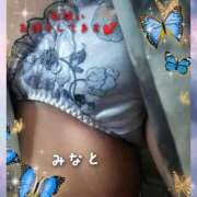 ヒメ日記 2025/11/03 12:18 投稿 みなと 川越おかあさん