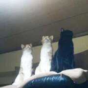 ヒメ日記 2026/02/22 15:28 投稿 みなと 川越おかあさん