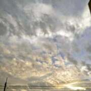 ヒメ日記 2025/10/31 07:28 投稿 みなよ 川越おかあさん