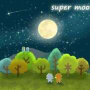 ヒメ日記 2025/11/05 10:58 投稿 みなよ 川越おかあさん