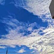 ヒメ日記 2025/11/10 08:47 投稿 みなよ 川越おかあさん