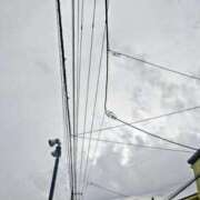 ヒメ日記 2025/11/25 10:38 投稿 みなよ 川越おかあさん