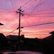 ヒメ日記 2025/12/30 20:28 投稿 みなよ 川越おかあさん