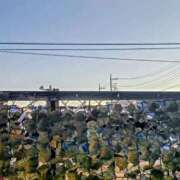 ヒメ日記 2026/01/08 08:08 投稿 みなよ 川越おかあさん