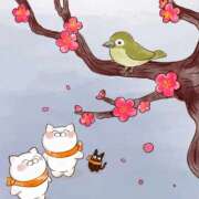 ヒメ日記 2026/02/04 09:58 投稿 みなよ 川越おかあさん