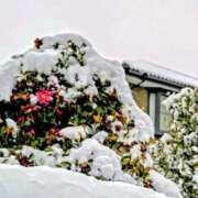 ヒメ日記 2026/02/08 14:18 投稿 みなよ 川越おかあさん