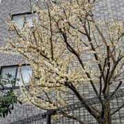 ヒメ日記 2026/02/21 08:48 投稿 みなよ 川越おかあさん