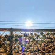 ヒメ日記 2026/04/08 07:18 投稿 みなよ 川越おかあさん