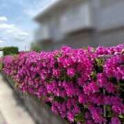 ヒメ日記 2026/04/28 13:38 投稿 みなよ 川越おかあさん