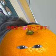 ヒメ日記 2025/02/05 16:26 投稿 ゆう 諭吉専科