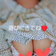 ヒメ日記 2025/04/15 07:20 投稿 ゆう 諭吉専科