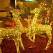 ゆう 【お礼日記】 諭吉専科