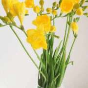 ヒメ日記 2026/04/15 07:46 投稿 ゆう 諭吉専科