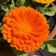 ヒメ日記 2026/04/16 07:24 投稿 ゆう 諭吉専科