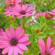 ヒメ日記 2026/04/18 08:10 投稿 ゆう 諭吉専科