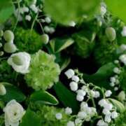 ヒメ日記 2026/04/29 09:06 投稿 ゆう 諭吉専科