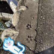 ヒメ日記 2025/01/03 15:11 投稿 なつみ 素人オナクラ美少女