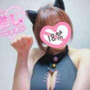 ヒメ日記 2025/02/22 12:03 投稿 あずき☆慈愛に満ちた至福な癒し ぽちゃぶらんか甲府店(カサブランカグループ)