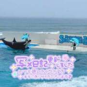 ヒメ日記 2025/07/14 22:28 投稿 あずき☆慈愛に満ちた至福な癒し ぽちゃぶらんか甲府店(カサブランカグループ)