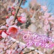 あずき☆慈愛に満ちた至福な癒し お休み中( ?ω? ) ぽちゃぶらんか甲府店(カサブランカグループ)